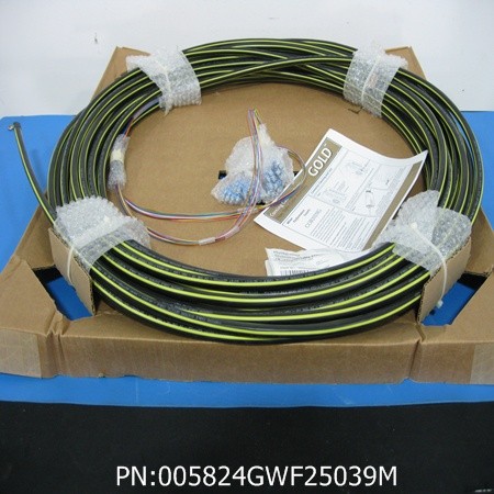 005824GWF25039M