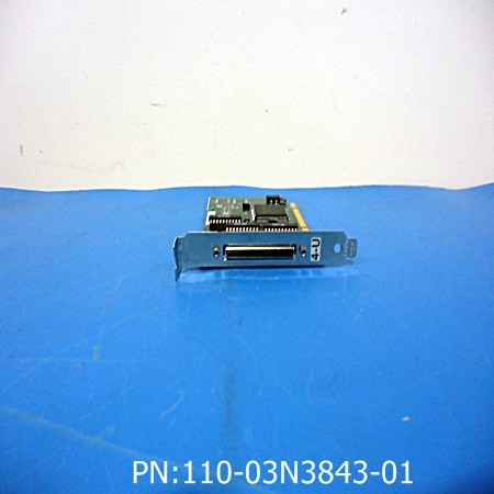 110-03N3843-01