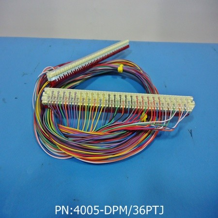 4005-DPM/36PTJ