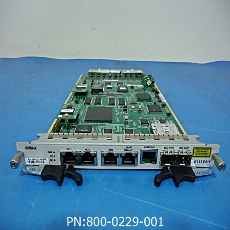 MANAGEMENT MODULE