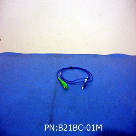 B21BC-01M