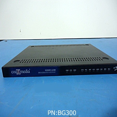 BG300