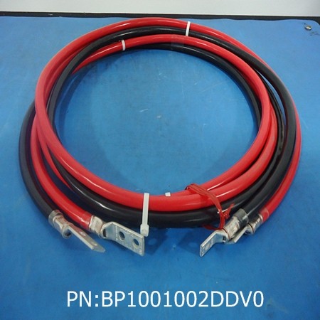 BP1001002DDV0