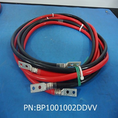 BP1001002DDVV
