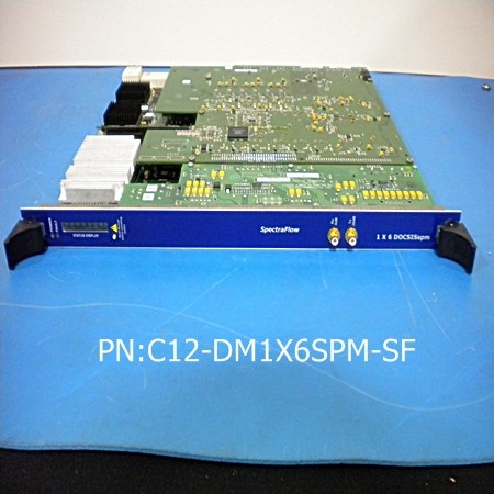 C12-DM1X6SPM-SF