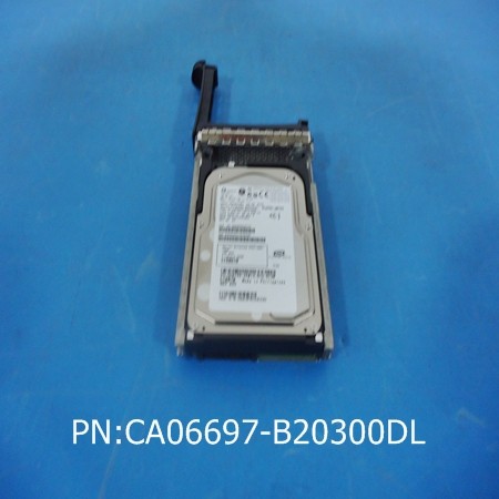 CA06697-B20300DL