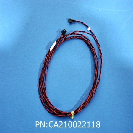 CA210022118
