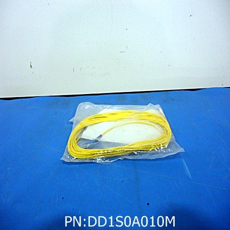 DD1S0A010M