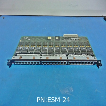 ESM-24