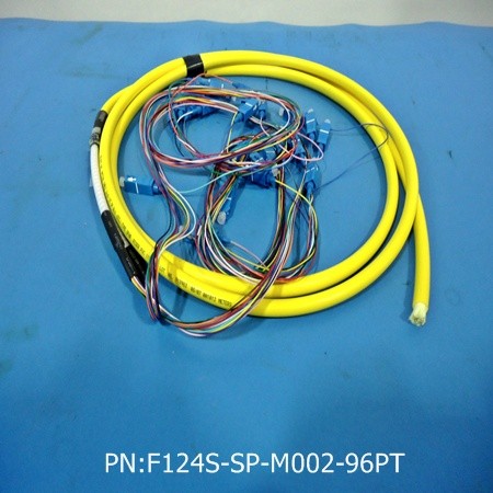 F124S-SP-M002-96PT