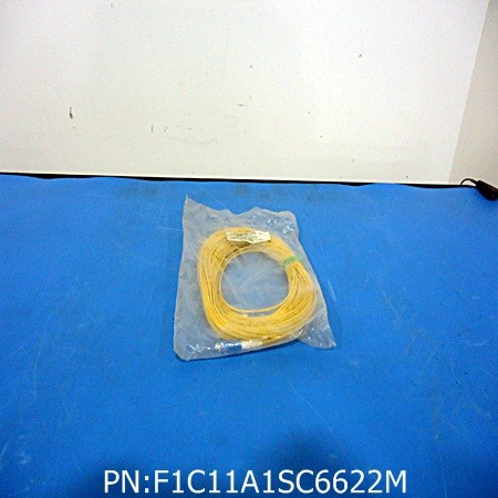 F1C11A1SC6622M