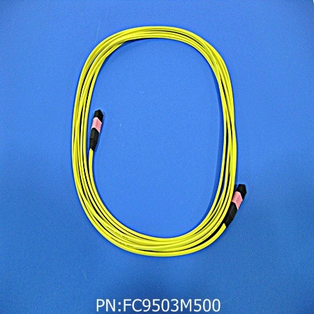 FC9503M500