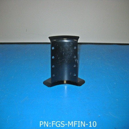 FGS-MFIN-10