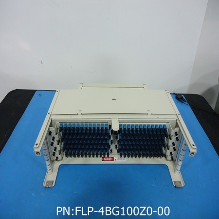FLP-4BG100Z0-00