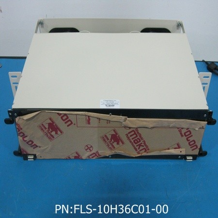 FLS-10H36C01-00