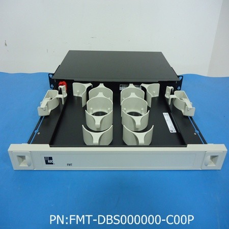 FMT-DBS000000-C00P