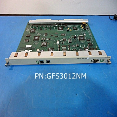 GFS3012NM