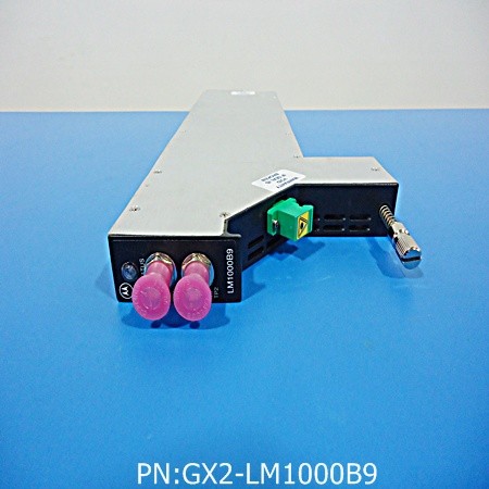 GX2-LM1000B9