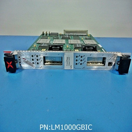 LM1000GBIC