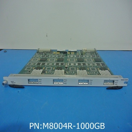 M8004R-1000GB