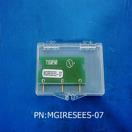 MGIRESEES-07