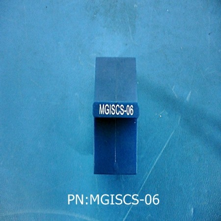 MGISCS-06