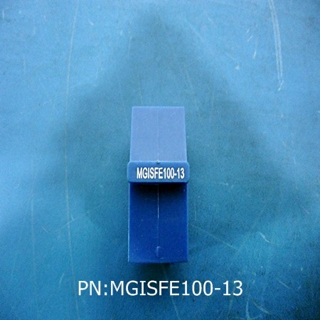 MGISFE100-13