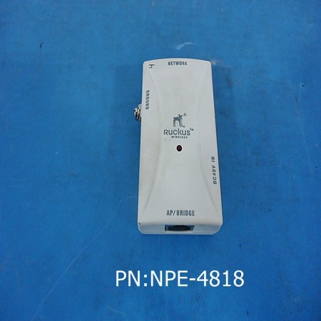 NPE-4818
