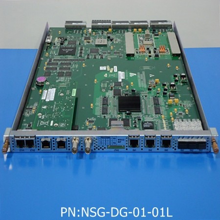 NSG-DG-01-01L