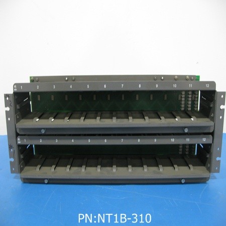 NT1B-310