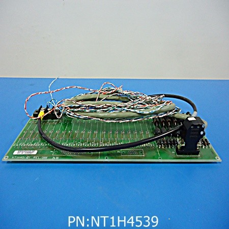 NT1H4539