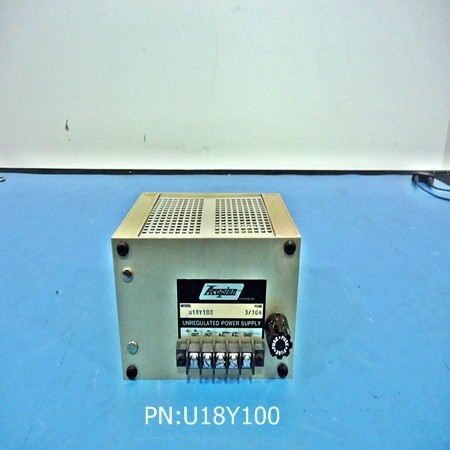 U18Y100