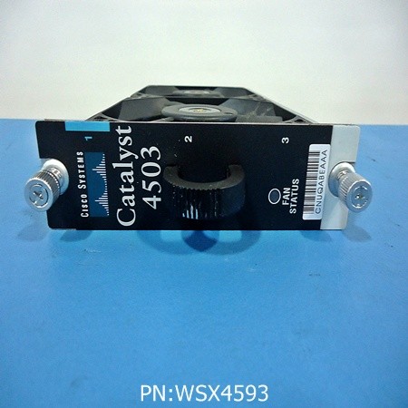 WSX4593 (800-21376-04)
