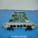 MANAGEMENT MODULE
