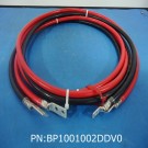 BP1001002DDV0