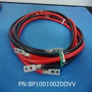 BP1001002DDVV